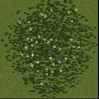 Deer forest