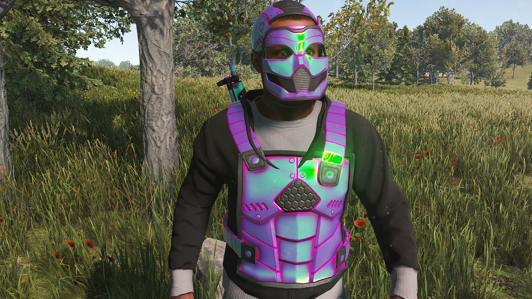 Chameleon Facemask
