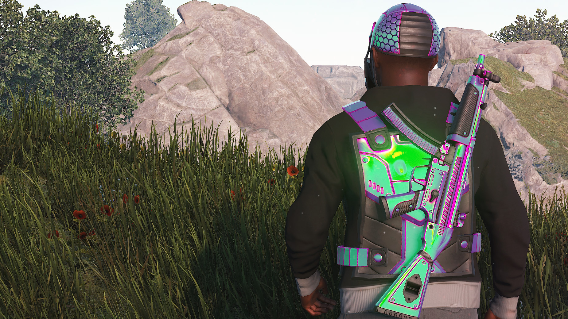 Chameleon Facemask