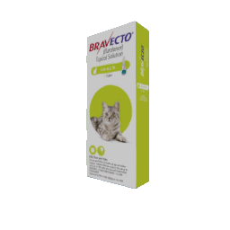 flea medicine for small cats