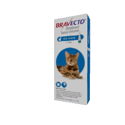 flea medicine for medium cats
