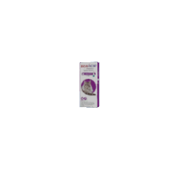 flea medicine for large cats