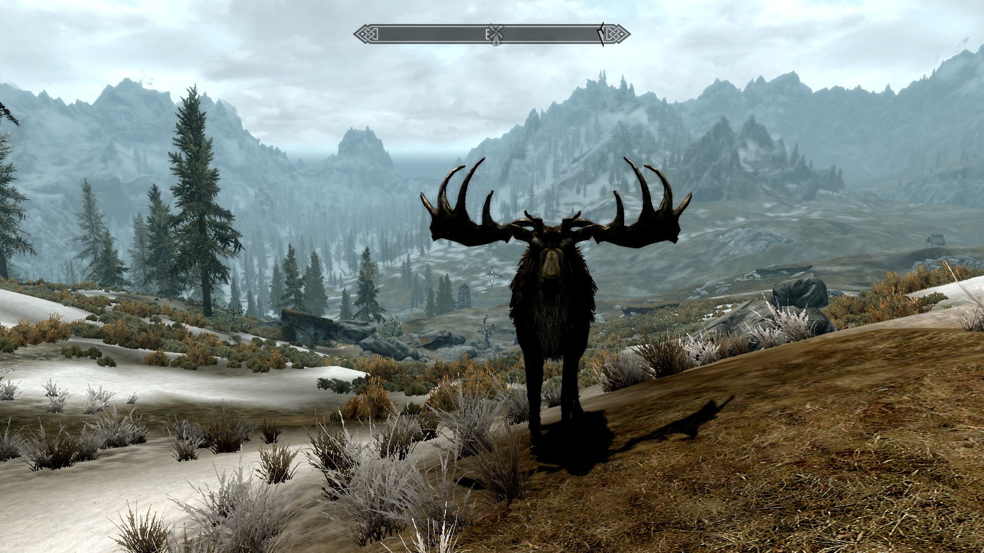 Explore Skyrim