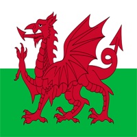 Welsh Flag's Patches