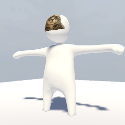 cat preview