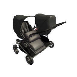 Double Trouble Stroller