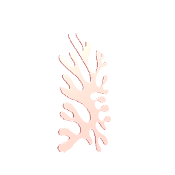 Ariel - Coral Mirror