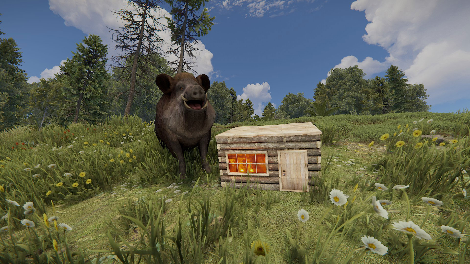 Wooden Base Box