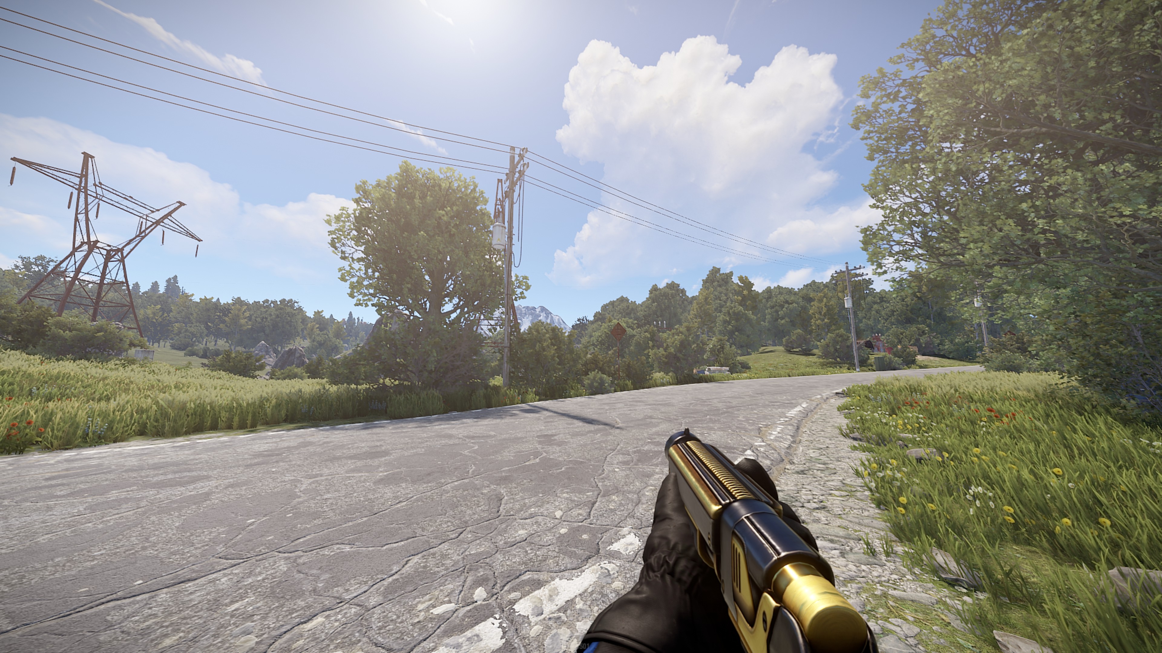 Black Gold Pump Shotgun