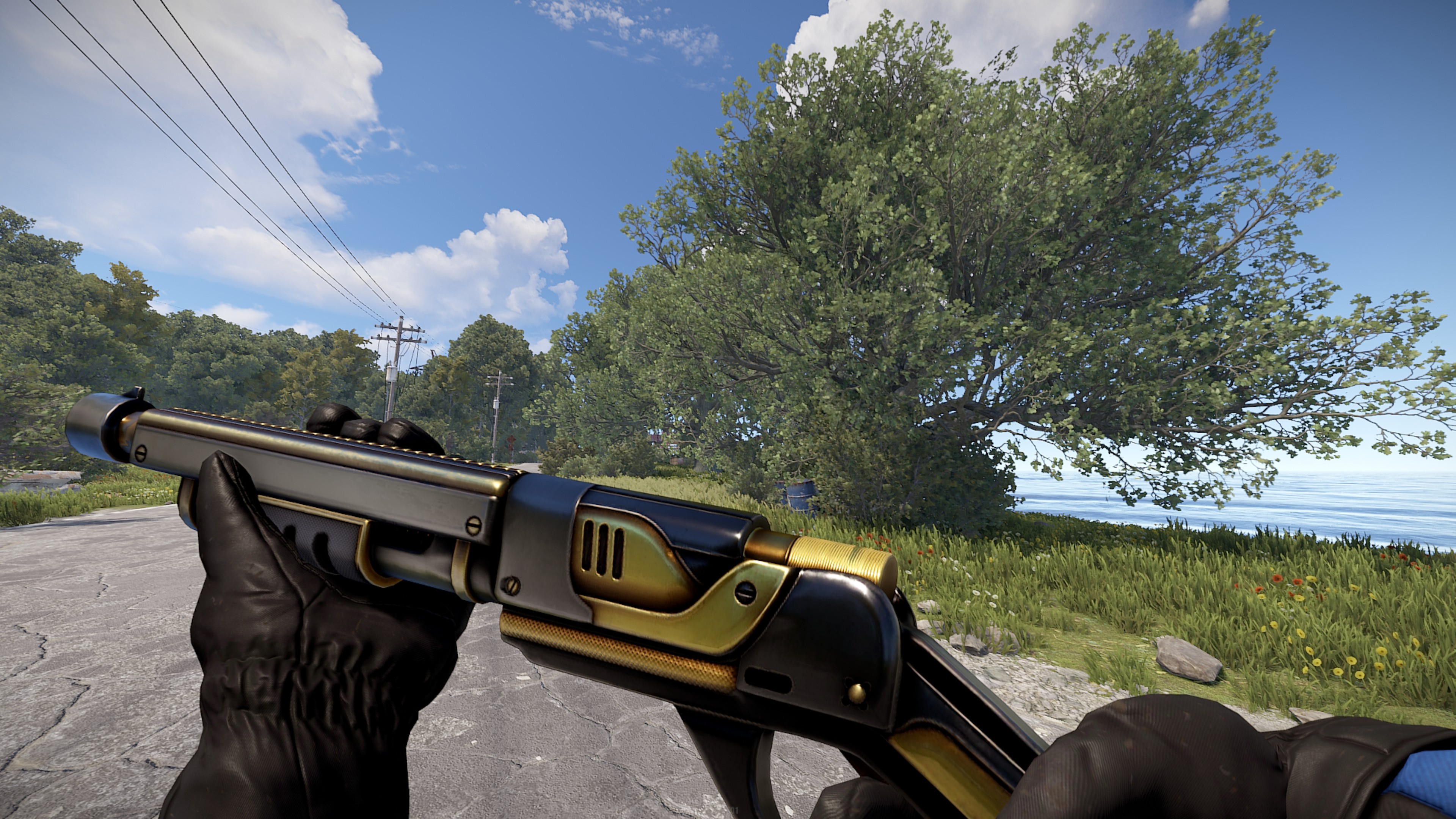 Black Gold Pump Shotgun