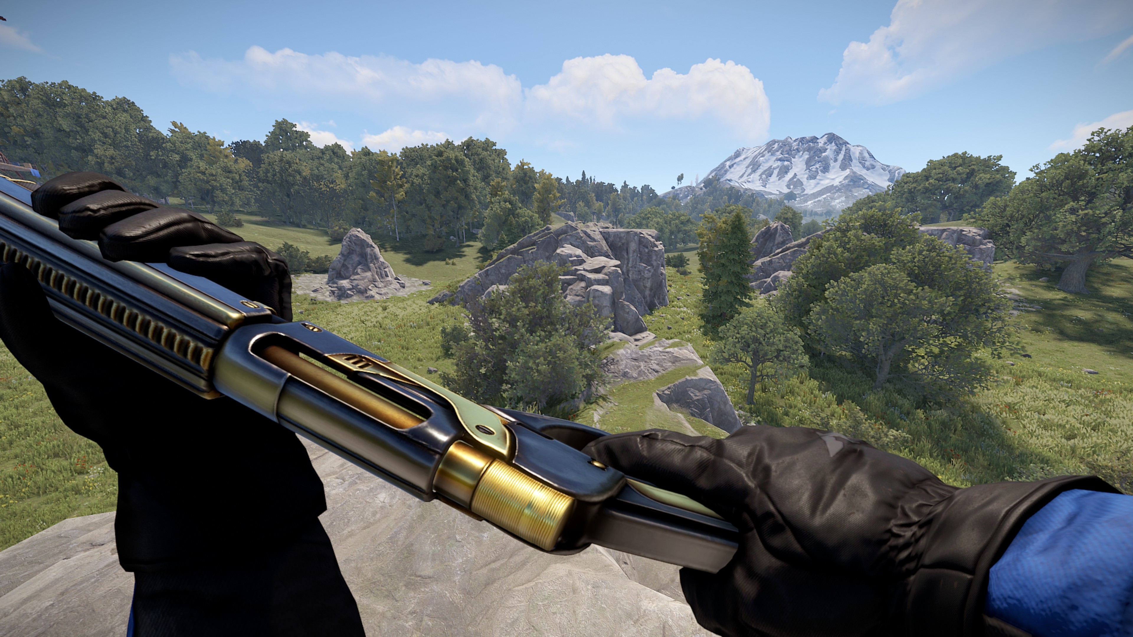 Black Gold Pump Shotgun