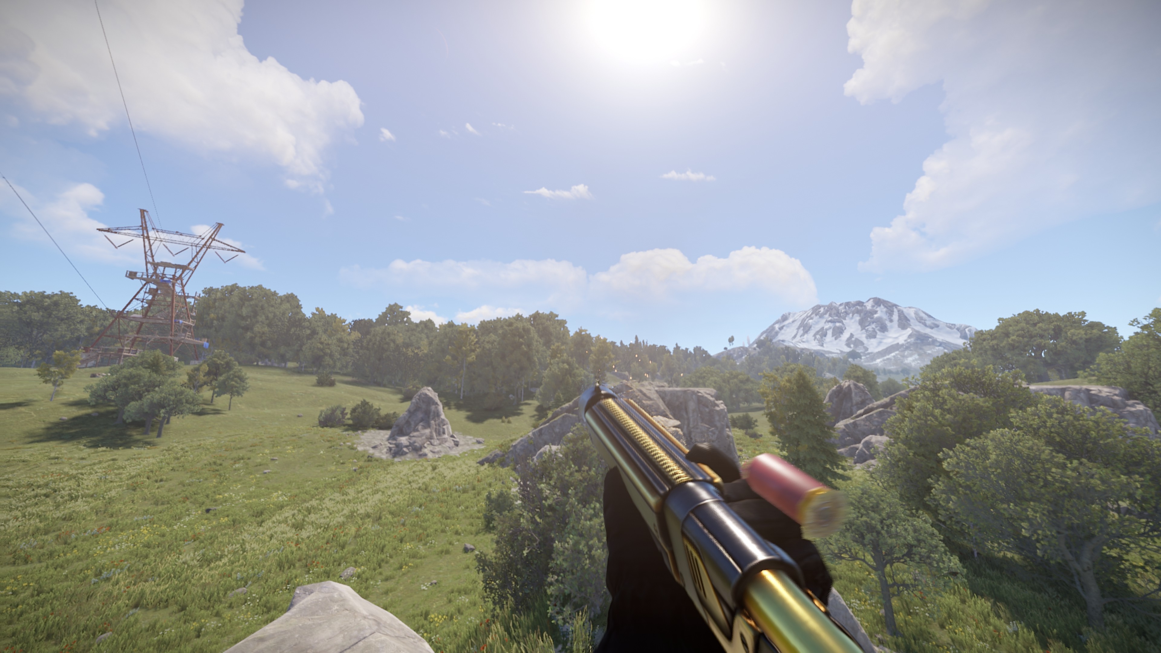 Black Gold Pump Shotgun