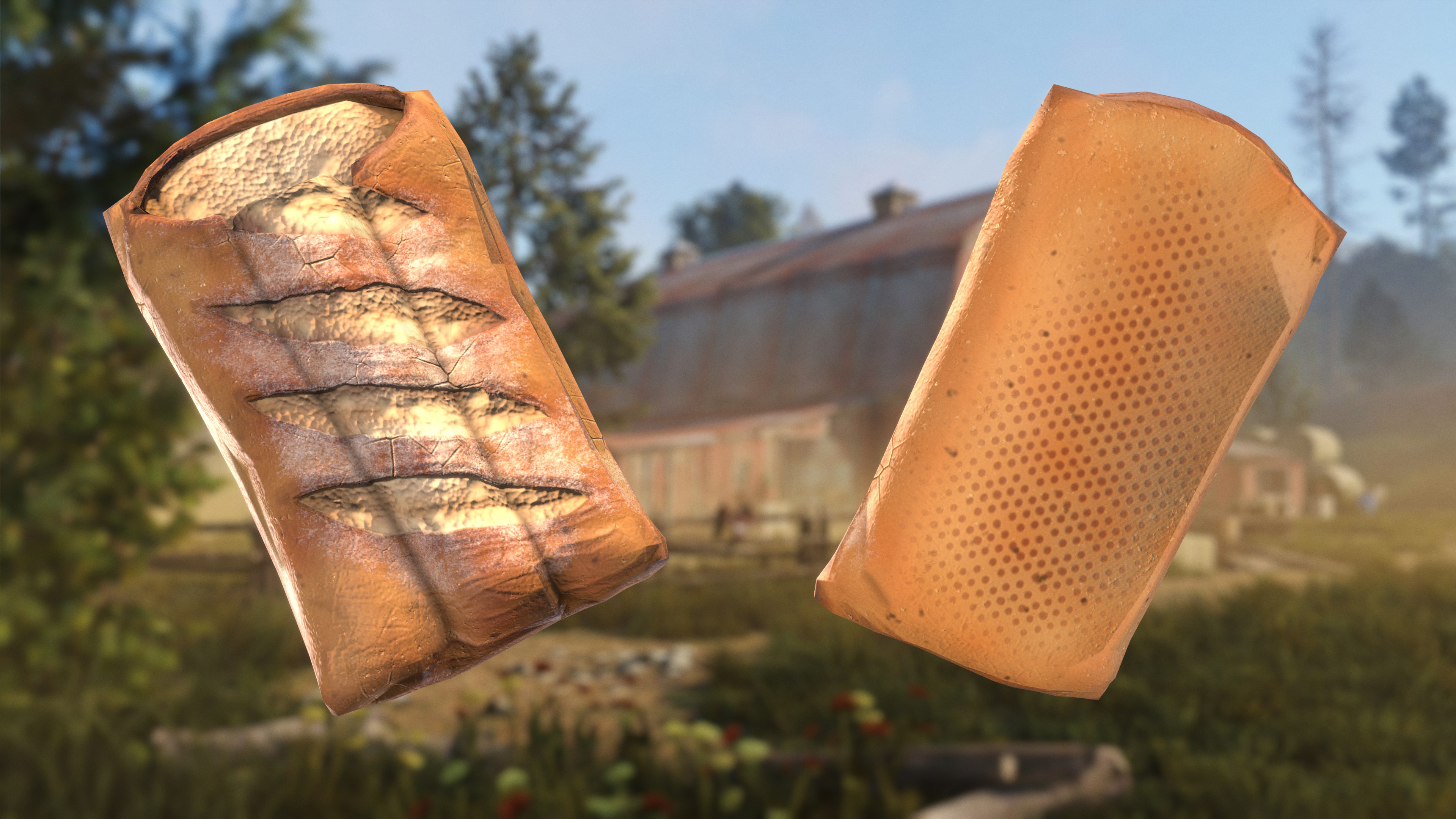 Sleeping Baguette