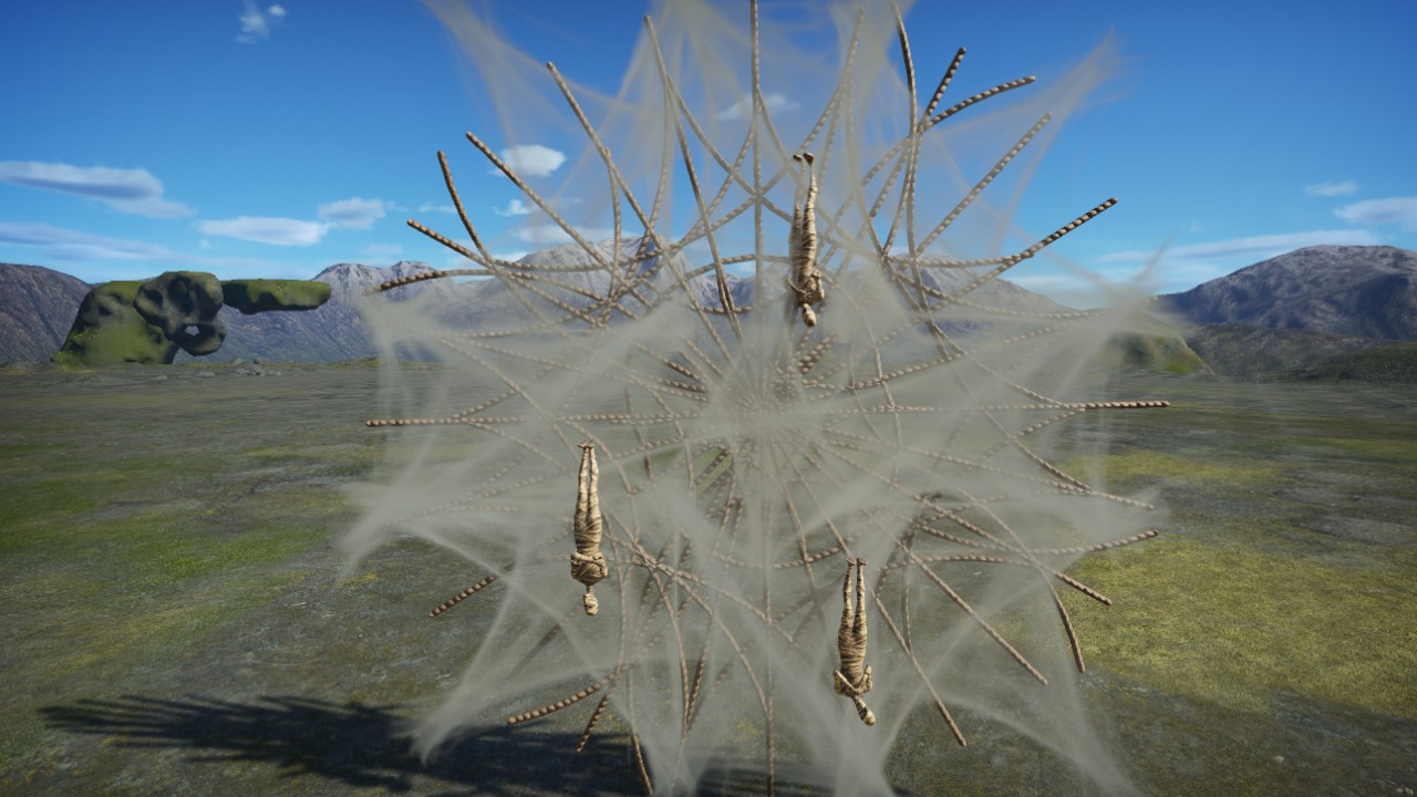 SPIDERWEB