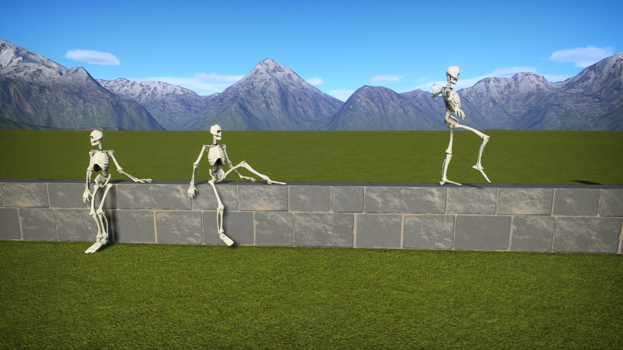 SKELETONS
