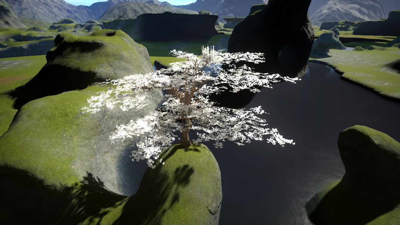 BLOSSOM TREE