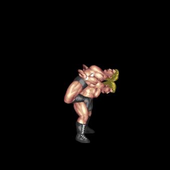 Gori Bomb DDT