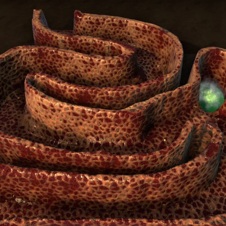 Inside the Wyrm