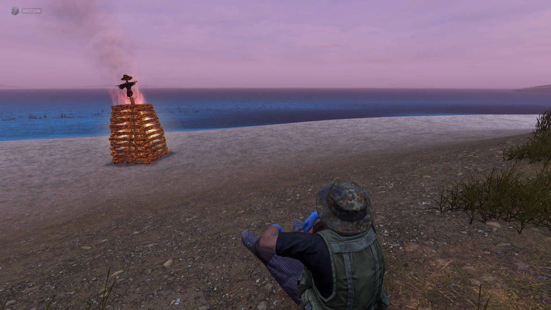 SKUNK ISLAND SERVER PACK