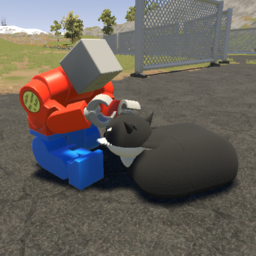 Realistic Maxwell Cat