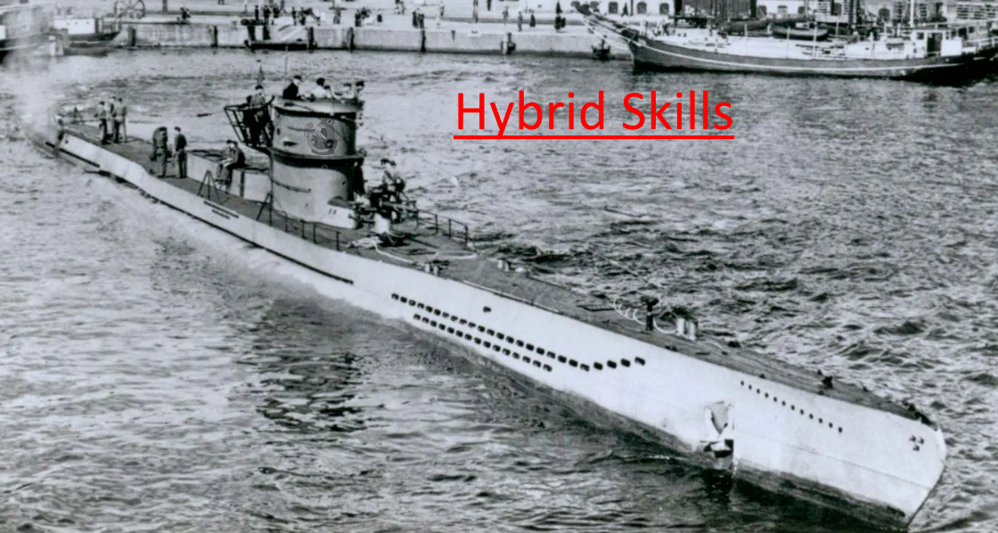 [2024.1] Hybrid Skills- Vanilla