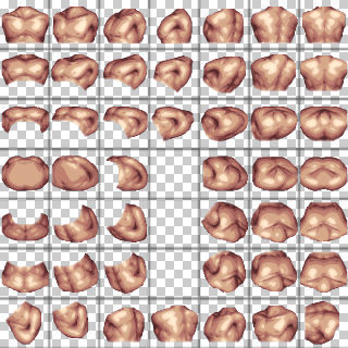 Male Medium-Bodybuilder Chest Base 2