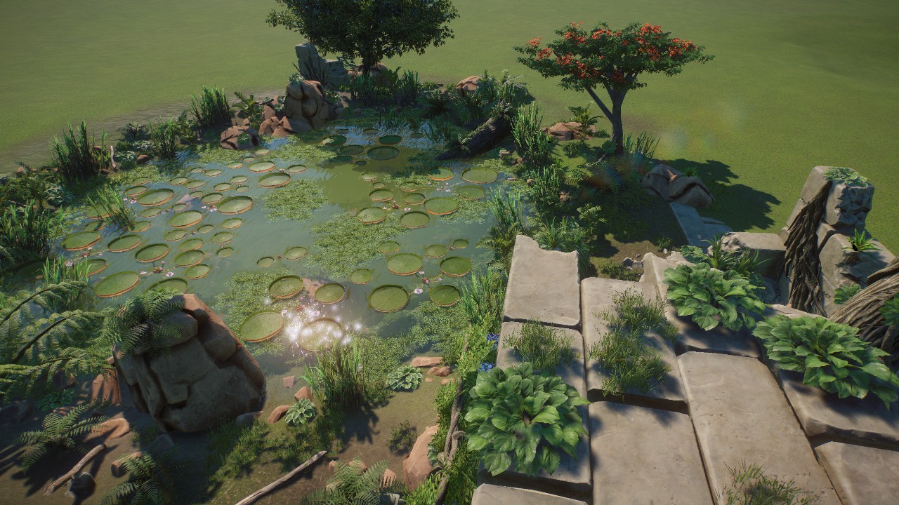 Jungle Pond 2