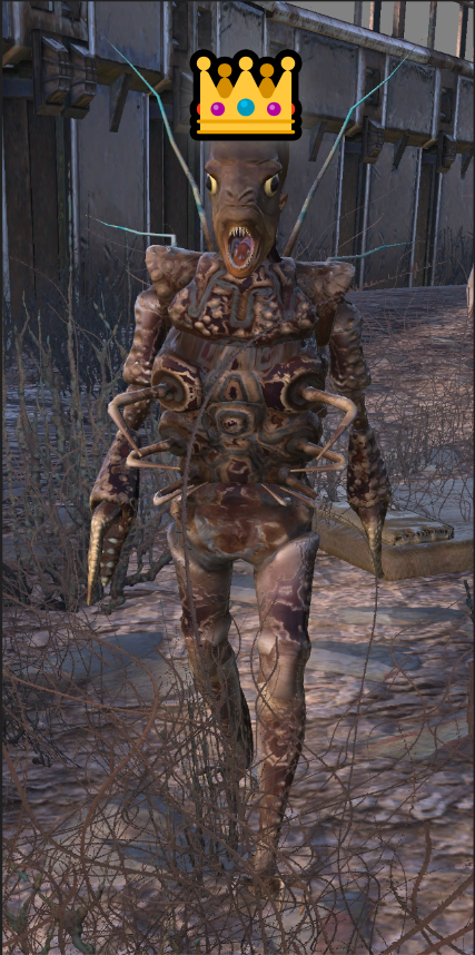 fishman can wear armor
