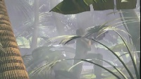 Raid On Lost Jungle