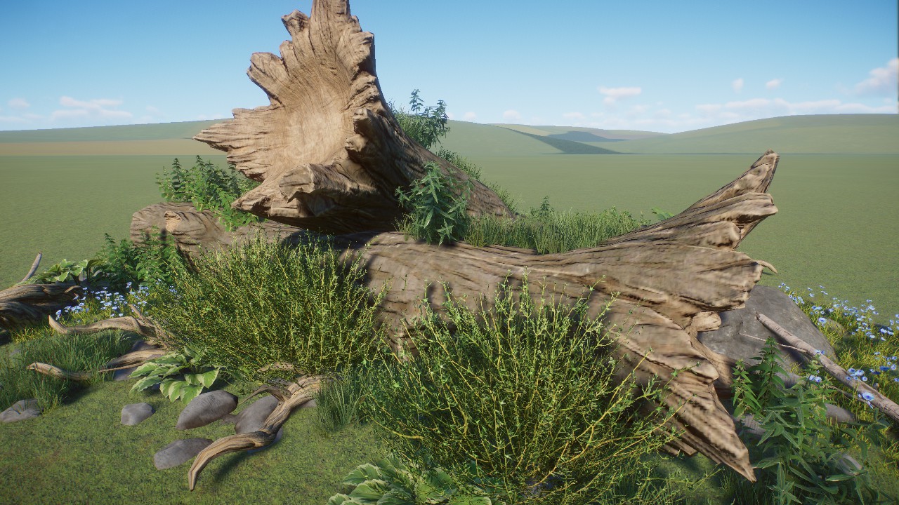 Overgrown Tree Trunk 3