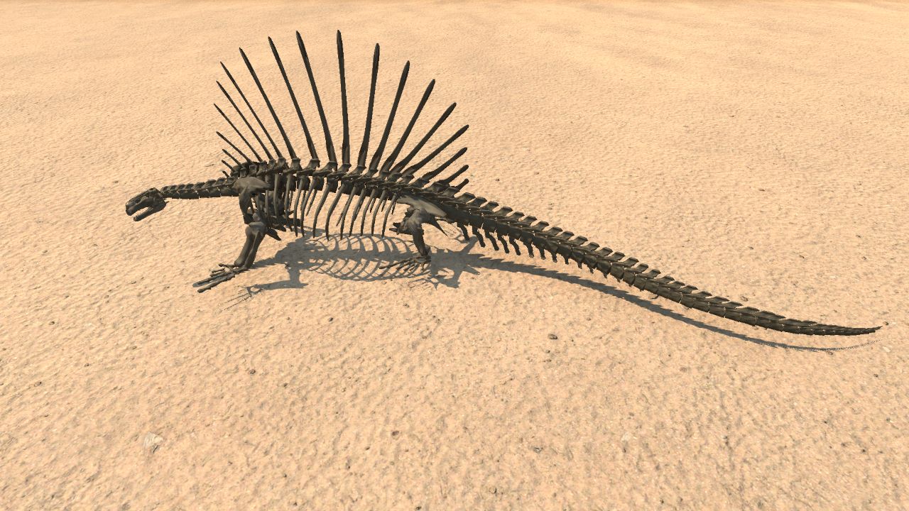 Edaphosaurus Skeleton