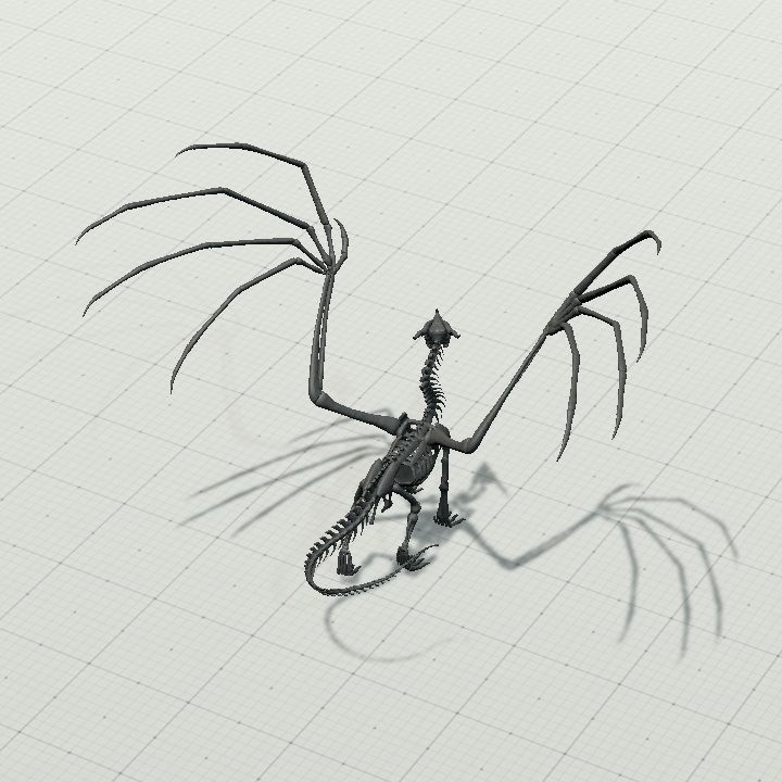 Dragon Skeleton