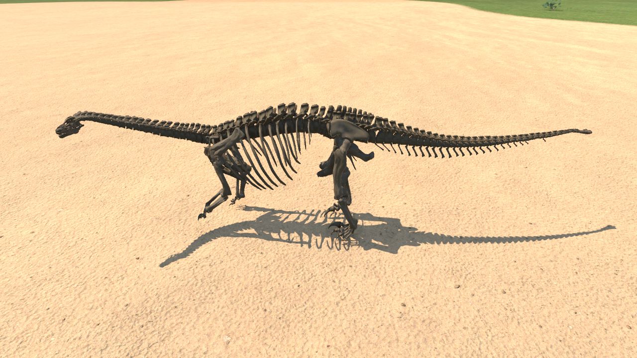 Shunosaurus Skeleton