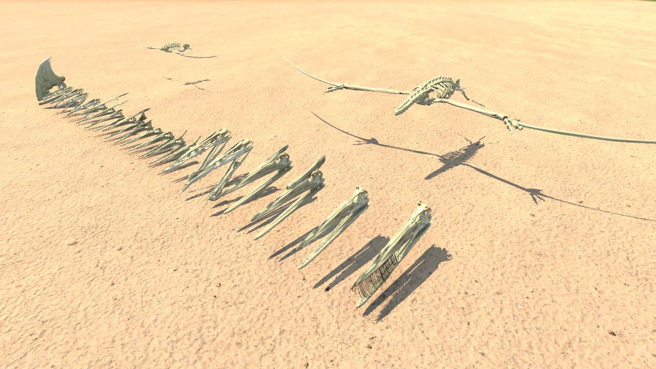 Pterosaur Skeleton with Skulls