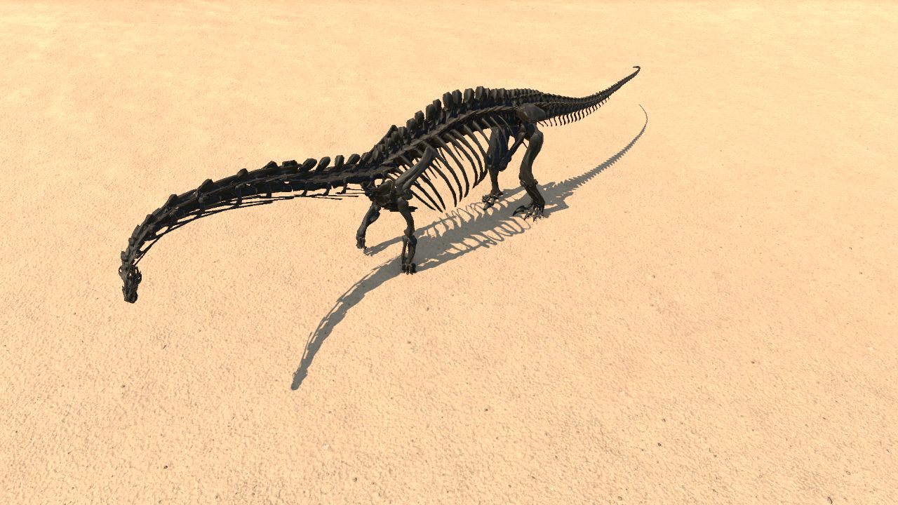 Apatosaurus Skeleton 2
