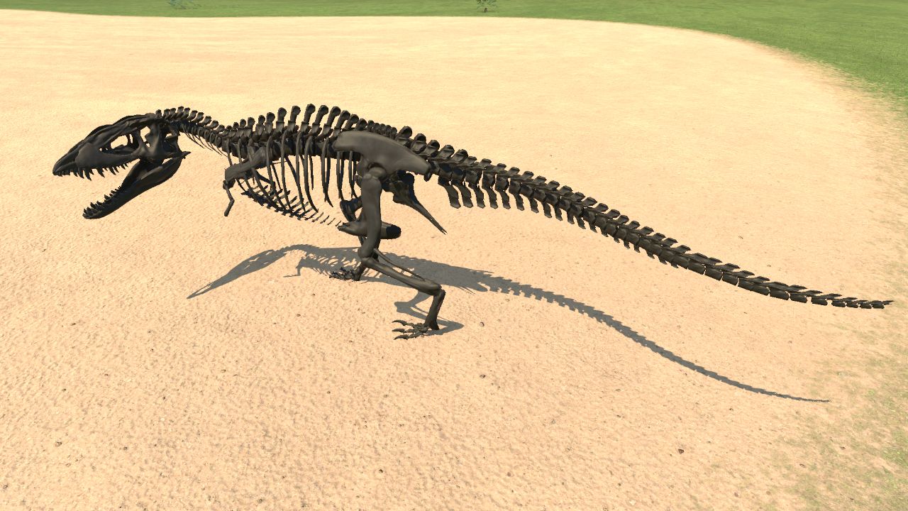 Carcharodontosaurus Skeleton