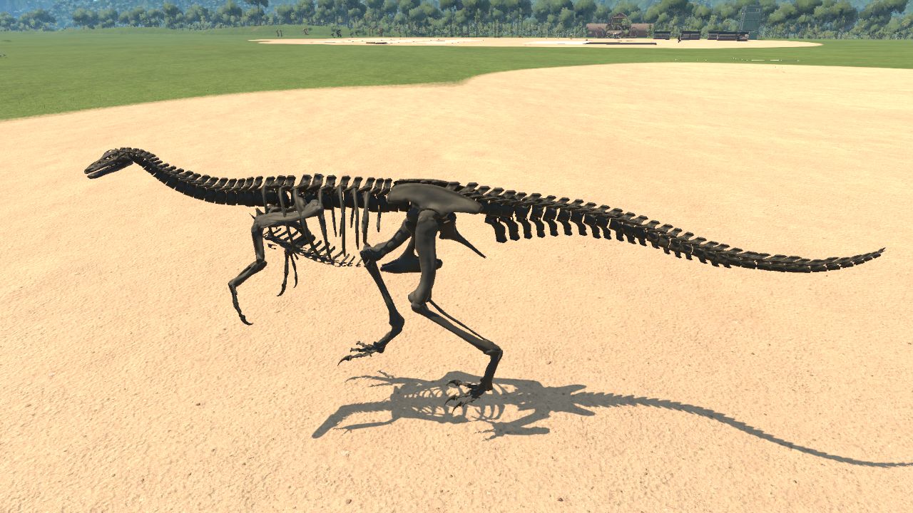 Gallimimus Skeleton