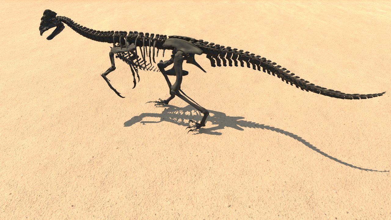 Oviraptor Skeleton