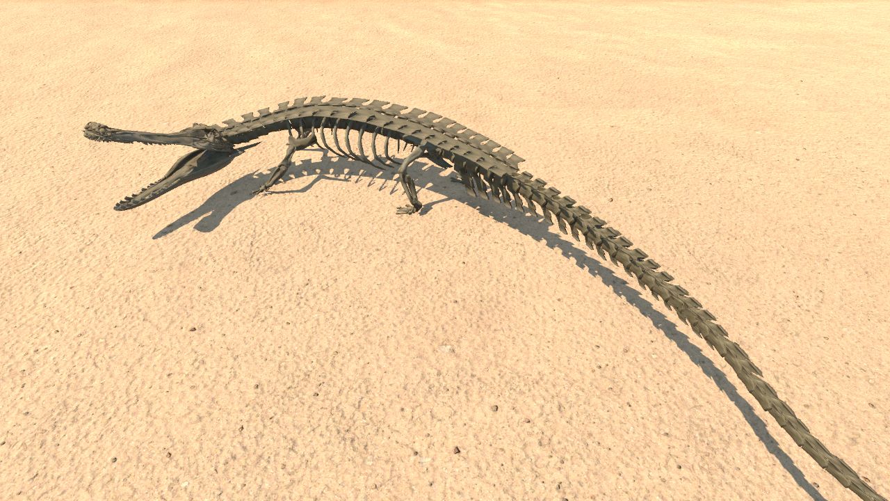 Sarcosuchus Skeleton