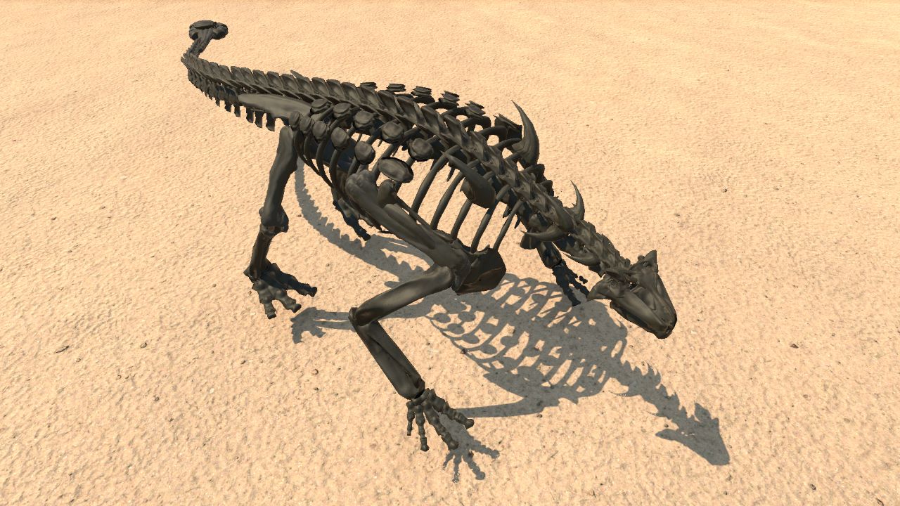 Euoplocephalus Skeleton