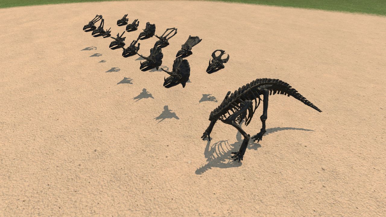 Ceratopsid Skeleton with Skulls