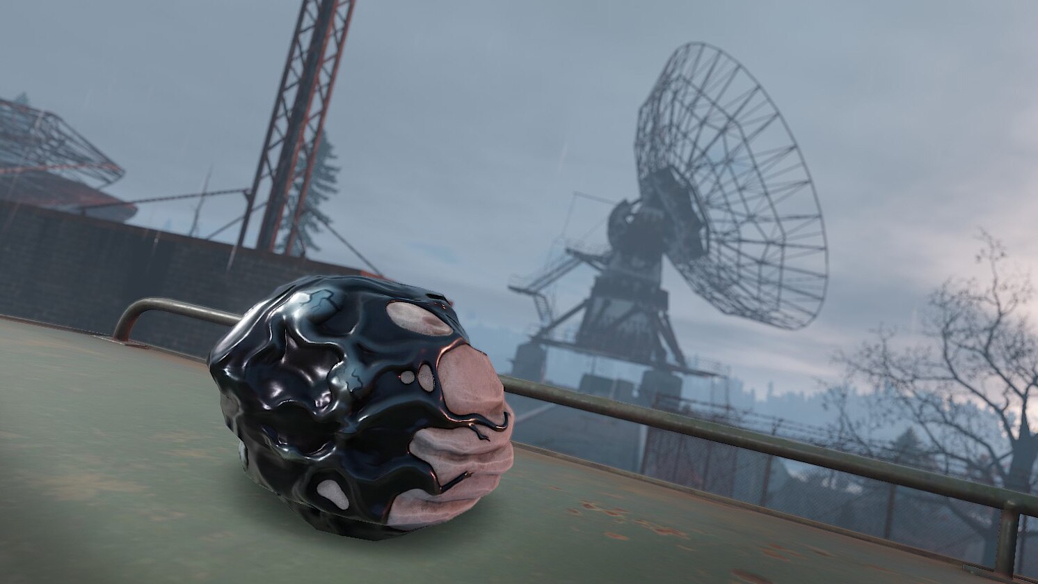 Quarantine Rock