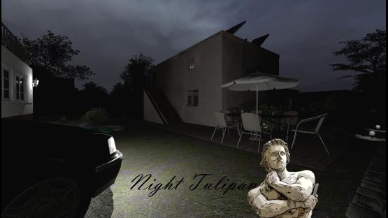 Night_Tulipan – Counter-Strike 2 Mod
