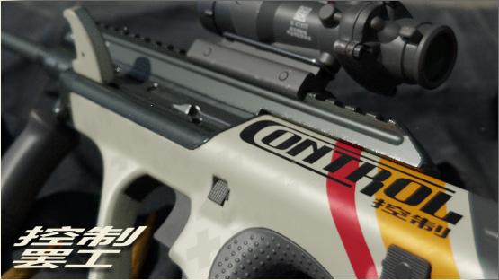 AUG | Control Strike [ gray ]