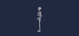 Real skeleton by Ivan