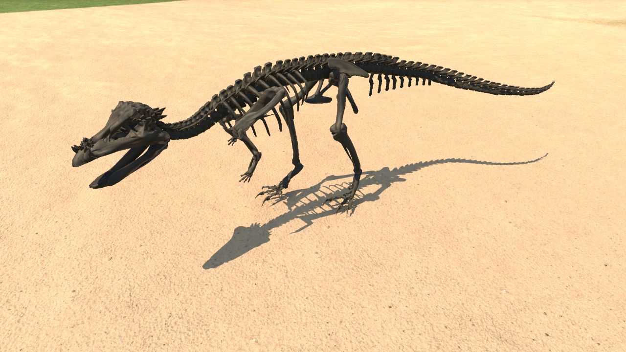 Pachycephalosaurus Skeleton