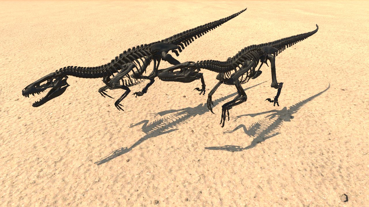 Deinonychus Skeleton 2