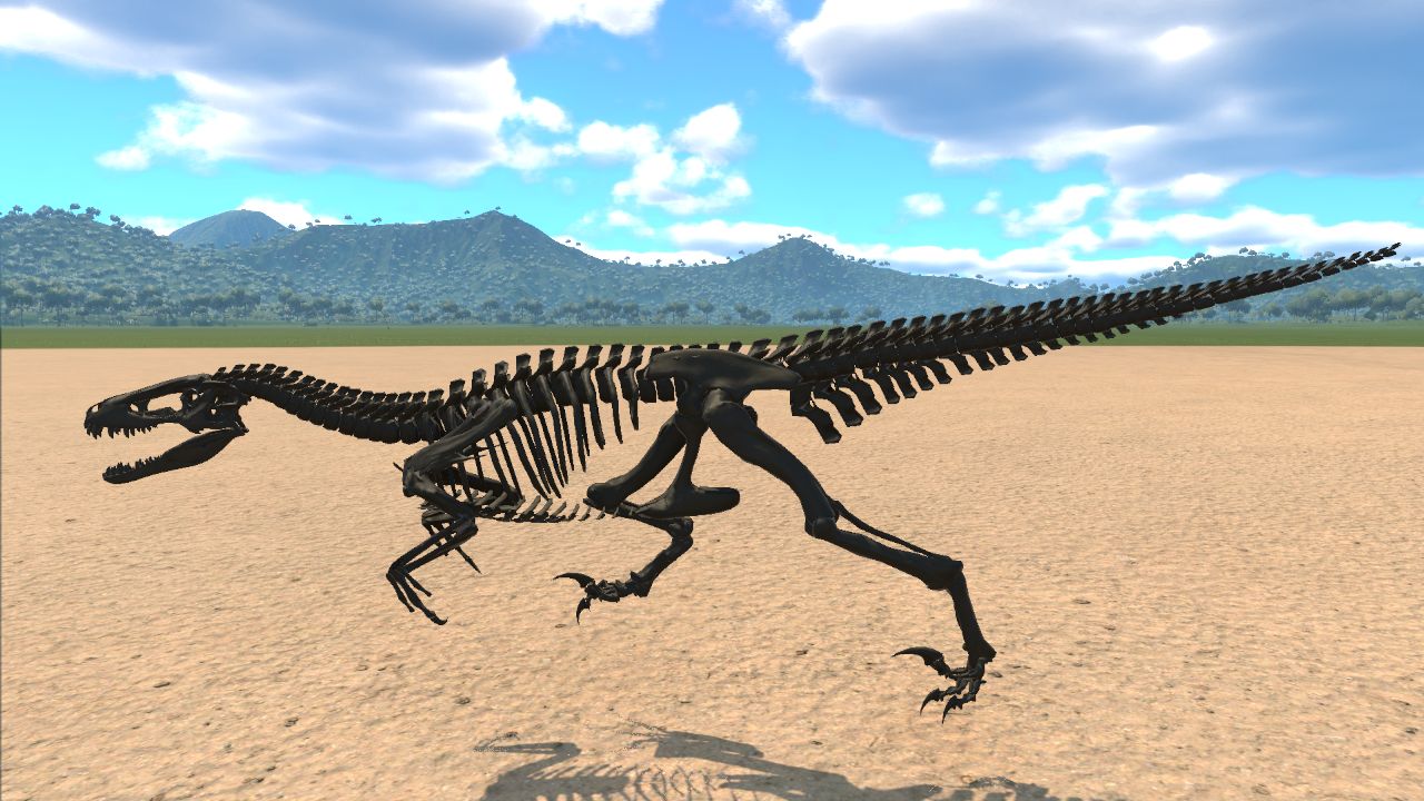 Deinonychus Skeleton