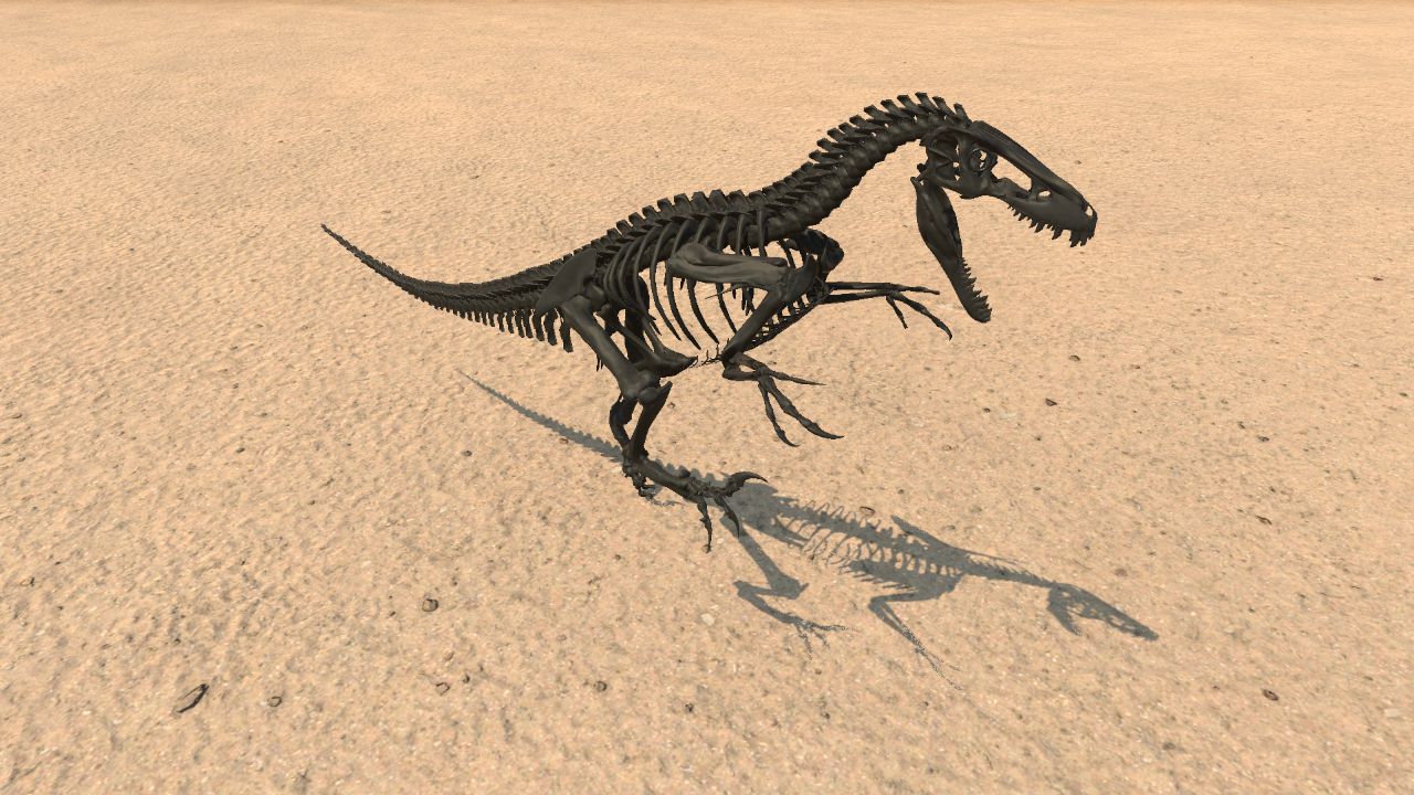 Deinonychus Skeleton 3