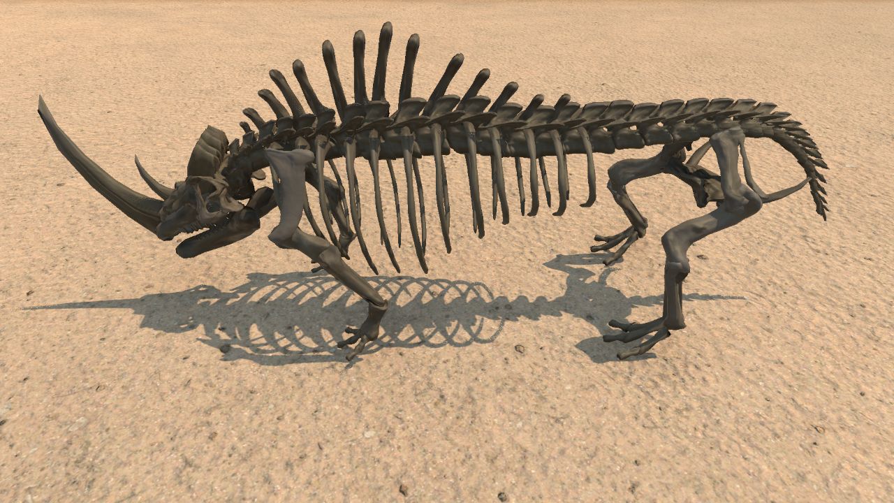 Wooly Rhino Skeleton